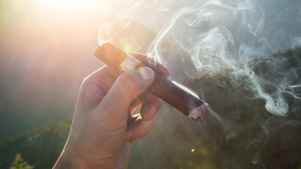Cigar smoker - Die besten Cigar smoker unter die Lupe genommen